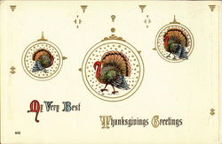 My Very Best Thanksgiving Greetings Postcard