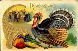Thanksgiving Greetings Postcard