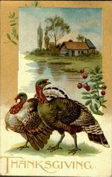 Thanksgiving Postcard