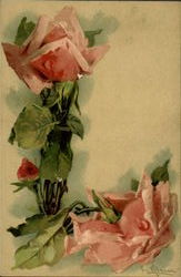 Flowers - Letters of the Alphabet L C. Klein Postcard Postcard