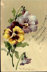 Flowers C. Klein Postcard Postcard