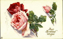 Best Birthday Wishes Postcard