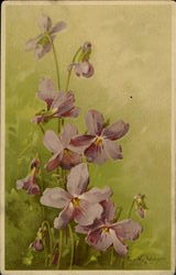 Painting of Lilies C. Klein Postcard Postcard