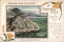 Greetings From California A Christmas Wish Of Happiness To You Postcard Postcard Postcard