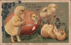 He is Risen Who is They Light Postcard