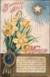 Birthday Joys: March: Daffodils Postcard