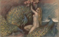 Nude Woman Sitting by Peacocks Postcard