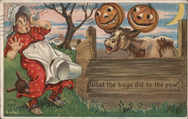 What the boys did to the cow. - Astonished woman at sight of jack-o-lanterns on cow's horns