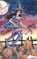 Witch Tabitha Flies Through Pumpkin Field, Cats, Owl Postcard