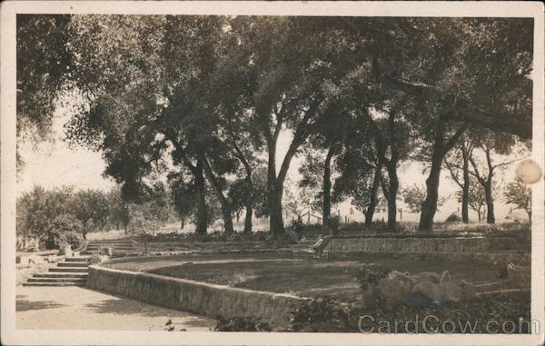 Park View of Steps and Trees Woodside California