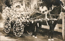 Mrs. H.H. Moke on Decorated Carriage, 1911 Santa Rosa, CA Postcard Postcard Postcard