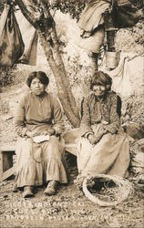 Digger Indians Postcard