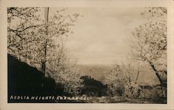 Aeolia Heights Postcard