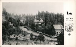 View of Dutch Flat, California Postcard
