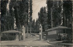 Merchant Marine Cadet Basic School Entrance Postcard