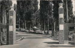 Stock #729878 Thumbnail