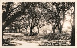 City Park Postcard