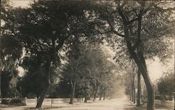 Stock #729884 Thumbnail