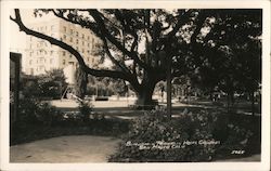Benjamin Franklin Hotel Grounds Postcard