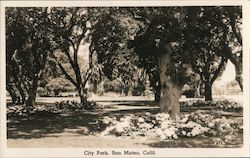 City Park San Mateo, CA Postcard Postcard Postcard