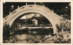 Arched Bridge in Large Garden Postcard