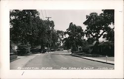 Residential Scene Postcard