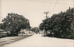 Street Through Town Saratoga, CA Postcard Postcard Postcard
