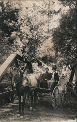 Two Men on a Bridge on a Horse Drawn Wagon Mountain View, CA Postcard Postcard Postcard