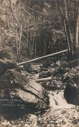 Steven's Creek Postcard