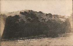 Rural Scene Near Mountain View, California Postcard