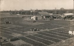 J.J. Dale Fruit Dryer Bird's Eye View Postcard