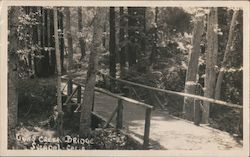 Tivas Creek Bridge Postcard