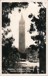 Campanile University of California Postcard