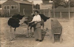 Stock #730512 Thumbnail