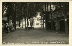 Business and Amusement Center Postcard