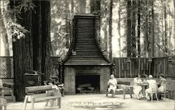 Mirabel Park on the Russian River Postcard