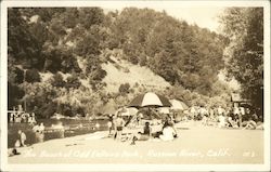 The Beach at Odd Fellows Park, Russian River Postcard