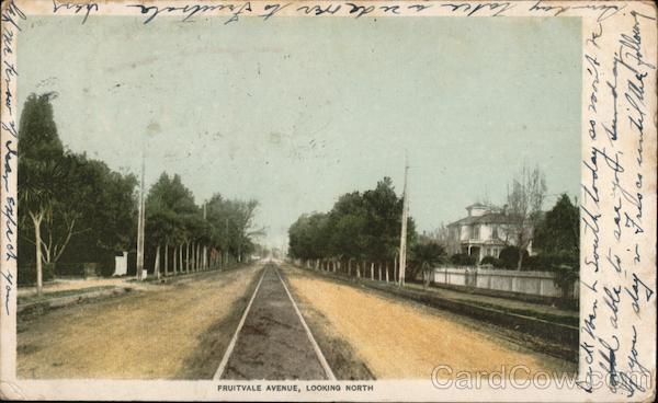 Fruitvale Avenue, Looking North California