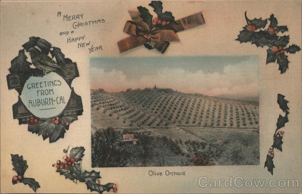 A Merry Christmas and a Happy New Year Auburn California