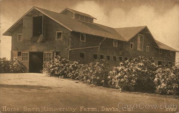 Horse Barn, University Farm Davis California