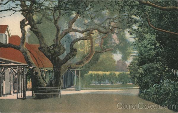 The Peninsula San Mateo California