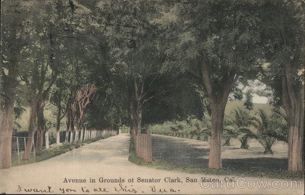 Avenue in Grounds of Senator Clark San Mateo California