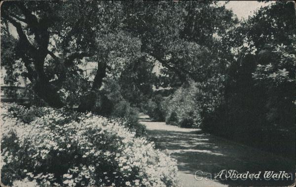 The Peninsula Hotel San Mateo California