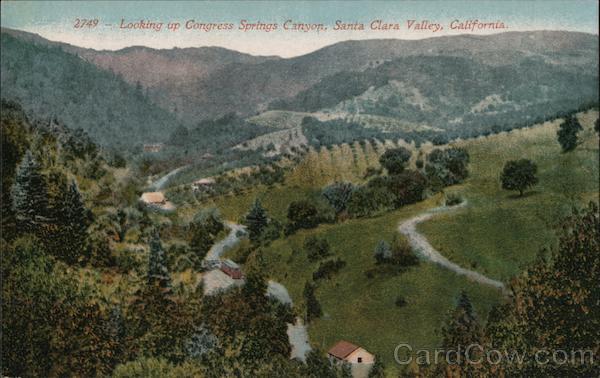 Looking up Congress Springs Canyon Saratoga California