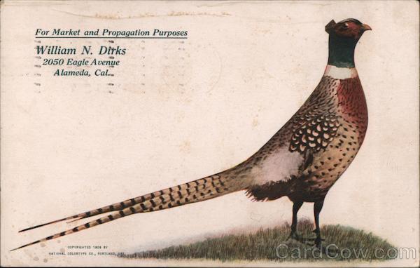 William N. Dirks Alameda California