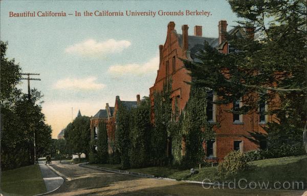 Beautiful California-In the California University Grounds Berkeley