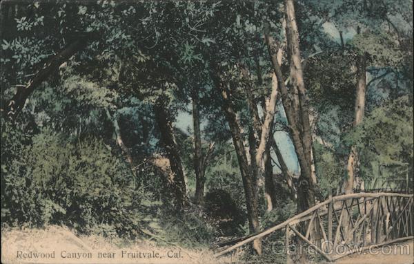 Redwood Canyon Near Town Fruitvale California