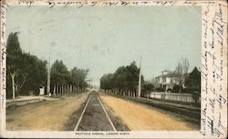 Fruitvale Avenue, Looking North Postcard