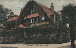 Cottage at San Mateo, Cal. Postcard