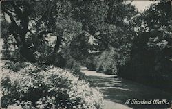 The Peninsula Hotel Postcard